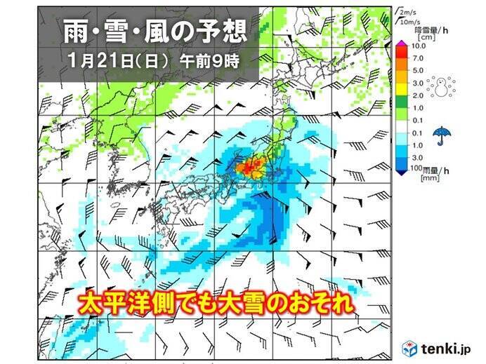 土曜日と日曜日　南岸低気圧の影響で広く雨や雪　関東南部の平地でも積雪か