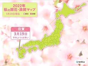 佐賀で桜開花　平年より5日早く　昨年より2日遅い　東京も開花まであと少し