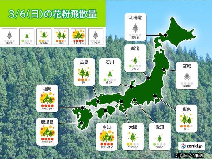 週末の花粉情報　関東から九州でスギ花粉ピーク　西日本は黄砂にも注意