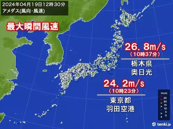 「関東や東北太平洋側で強風　羽田空港で最大瞬間風速24.2メートル　夕方にかけ注意」の画像