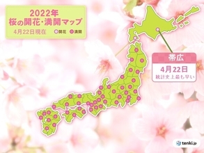 北海道　帯広で史上最も早く桜が開花!