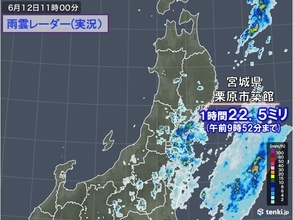 大気不安定　東北で局地的に雨雲発達　宮城県でどしゃ降りの所も　関東も急な雨に注意