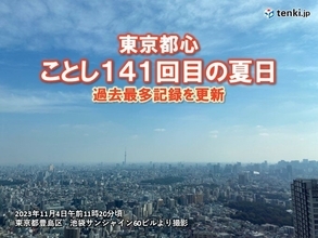 都心　ことし141回目の夏日　年間夏日過去最多を更新　11月の夏日は14年ぶり