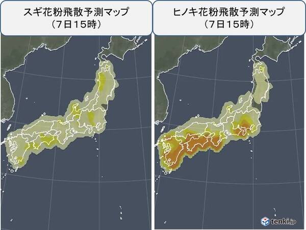 花粉情報 スギ花粉の飛散に加え ヒノキ花粉がピーク 花粉飛散いつまで 22年4月7日 エキサイトニュース