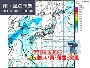 午後は雷雨注意　激しい雨・落雷・突風の恐れ　土砂災害などの危険度が高まる所も