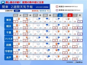 今夜は東京23区で熱帯夜　夜間の熱中症注意　蒸し暑い日が多い　28日は雨脚強まる