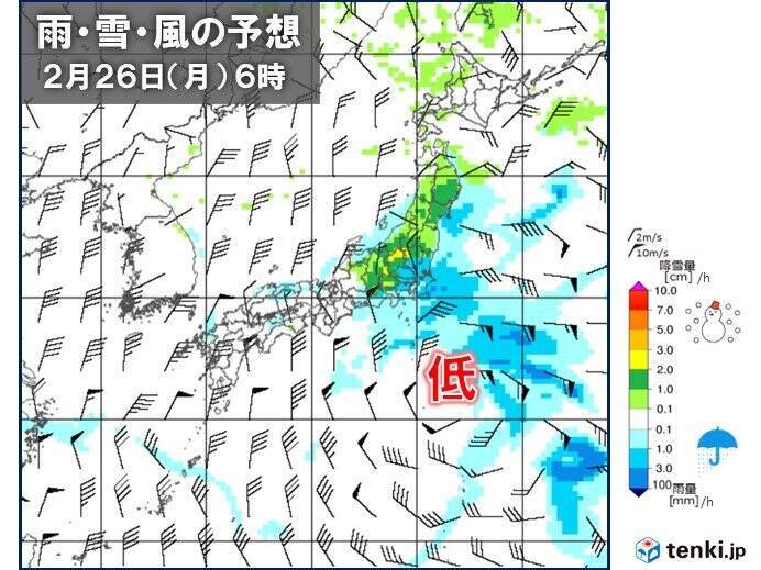 2～3日ごとに冷たい雨や雪　真冬の寒さの日も　花粉の飛散がピークに　2週間天気