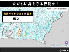 静岡県浜松市を流れる馬込川　矢矧橋付近で堤防から水があふれ浸水