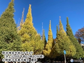 サムライブルーの空に映える紅葉　関東～九州で見頃　紅葉狩り日和続く