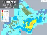 「今日25日　西・東日本は晴れて気温上昇　真夏日も　暑さ対策を　北日本は強雨に注意」の画像2