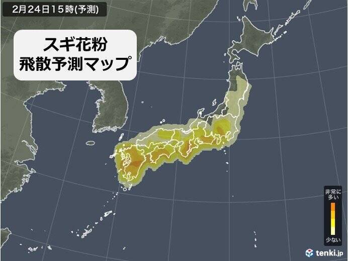 今日24日の花粉情報　九州や近畿で「多い」関東など「やや多い」所も万全な対策を