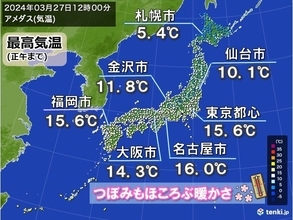 今日27日　ようやく桜の蕾がほころぶ暖かさ　土日はまるで初夏　一気に桜咲き進む