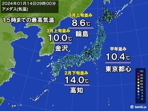 寒さ和らぐ　西日本では3月並みの暖かさの所も　高知で梅開花　明日は再び厳しい寒さ