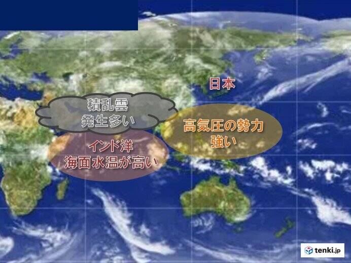 台風1号発生が遅い理由　エルニーニョ現象最盛期の後の特徴　でも過去には甚大な災害