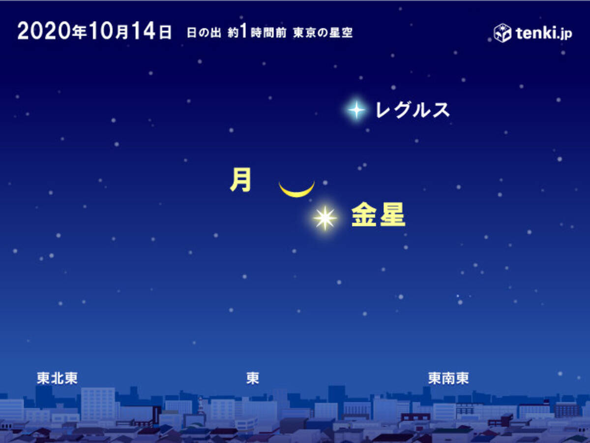 あす14日明け方 細い月と金星が接近 早起きして空を眺めよう 2020年10月13日 エキサイトニュース