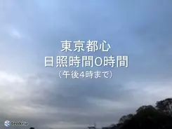 東京でカエデが紅葉 関東で最も早く 年11月27日 エキサイトニュース