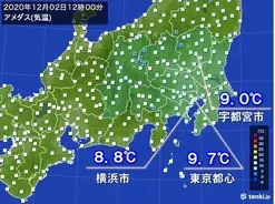 東京でカエデが紅葉 関東で最も早く 年11月27日 エキサイトニュース