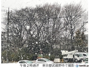 東京都内で大粒の雪　都心では4日ぶりに一桁の最高気温