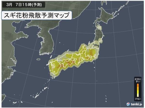 スギ花粉 今が最盛期 非常に多く飛ぶ日も ピーク越えるのはいつ 21年3月7日 エキサイトニュース