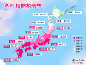 2021年桜開花予想　広島など開花まで秒読み　東京など3月下旬には満開