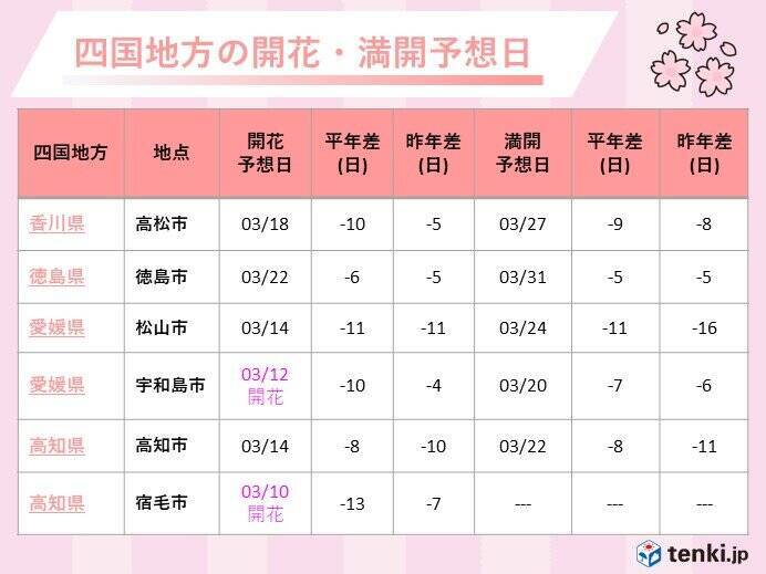 愛媛県宇和島市で桜開花　松山市や高知市もまもなく開花の予想