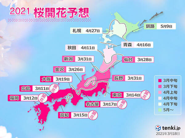 21年桜開花予想 週明け満開ラッシュ 東京22日 福岡 広島23日 21年3月18日 エキサイトニュース