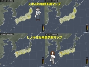 あす月曜日　雨上がりで花粉が非常に多く飛ぶ　東京の桜の満開も間近?