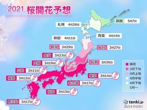2021年桜開花予想　桜前線は27日に仙台へ　東京や福岡の見ごろは今週末まで