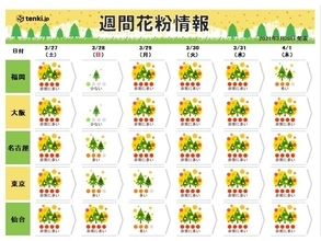 27日も九州から東北で花粉の飛散が「非常に多い」　スギからヒノキへ　ピークは?