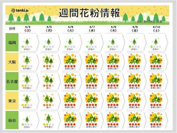 スギ ヒノキ花粉の終了時期はいつ まだ非常に多く飛ぶがヒノキのピークもあと少し 21年4月4日 エキサイトニュース