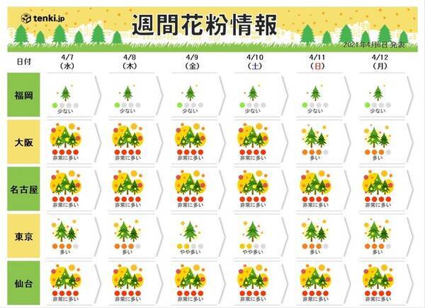 花粉 向こう一週間 非常に多い ピークの時期 もう少し続く 21年4月6日 エキサイトニュース