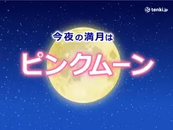 ご利益があるかも ピンクムーンと桜を撮影した写真が神秘的 21年4月28日 エキサイトニュース
