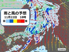 帰宅時間帯　関東は横殴りの雨の所も　北日本は警報級の大雨・暴風の恐れ