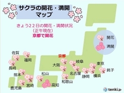 京都で桜開花　平年より早く