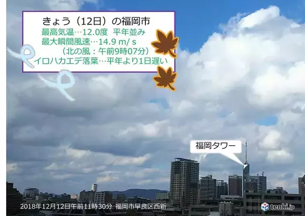 北風と落ち葉の季節　福岡