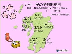 九州　2019年桜の開花予想発表