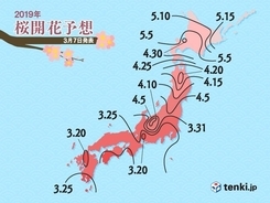 桜前線まであと10日　満開も予想　日本気象協会発表