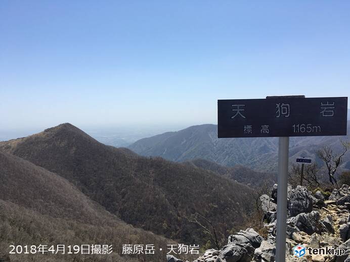 東海 花の山 藤原岳に登る 18年4月21日 エキサイトニュース 東海 花の山 藤原岳に登る 18年4月21日 エキサイトニュース