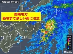 ザーザー降りの関東　昼頃まで激しい雨