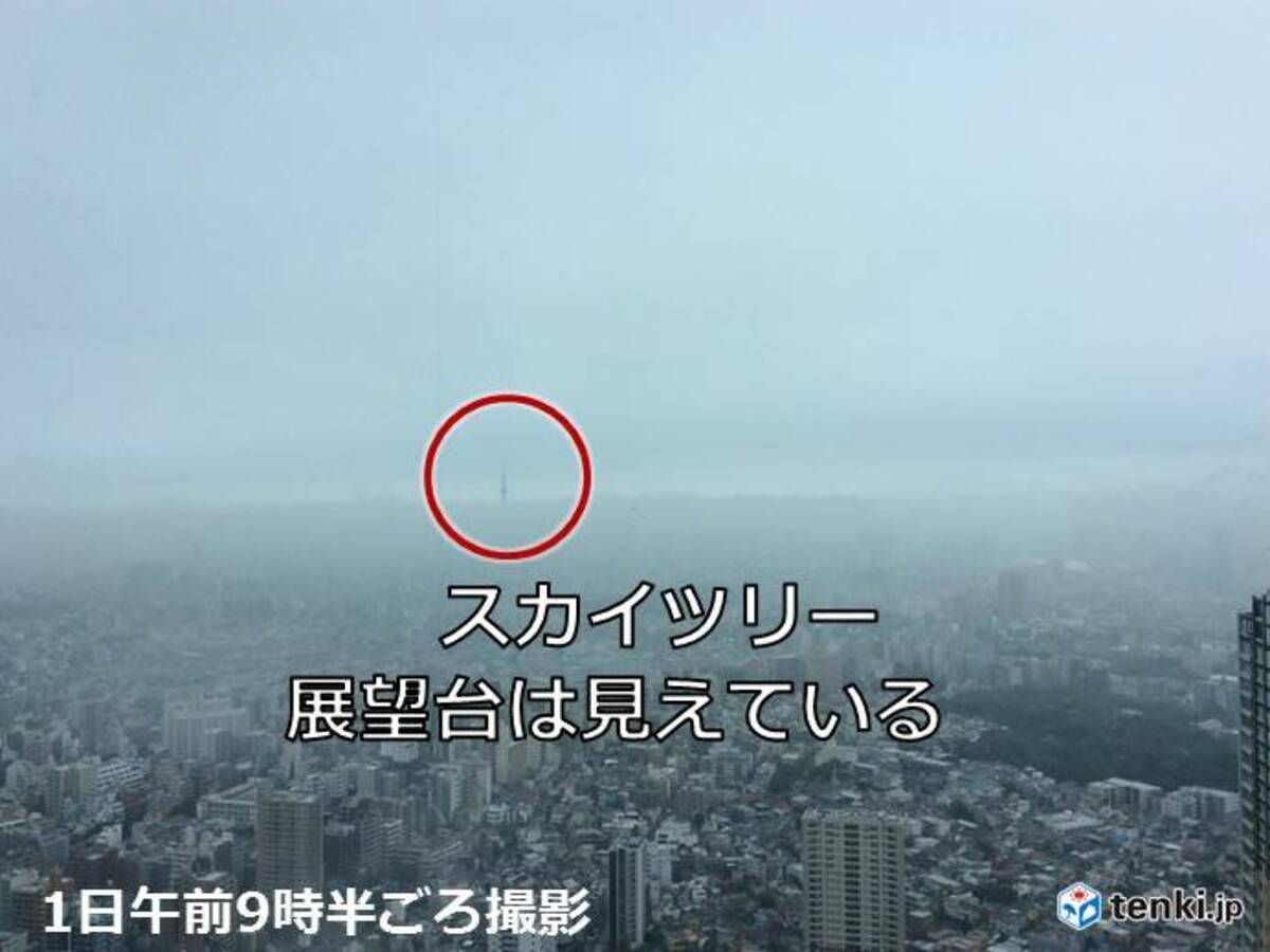 関東 400メートル付近だけ雲がない 雨の降り方は 19年7月1日 エキサイトニュース