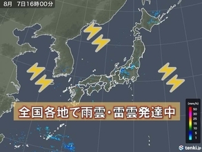 各地で雨雲発達中　落雷多発