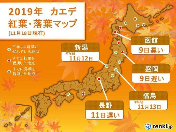 今年の紅葉はなぜ遅い 今週は寒さ戻って色付き進む 19年11月18日 エキサイトニュース