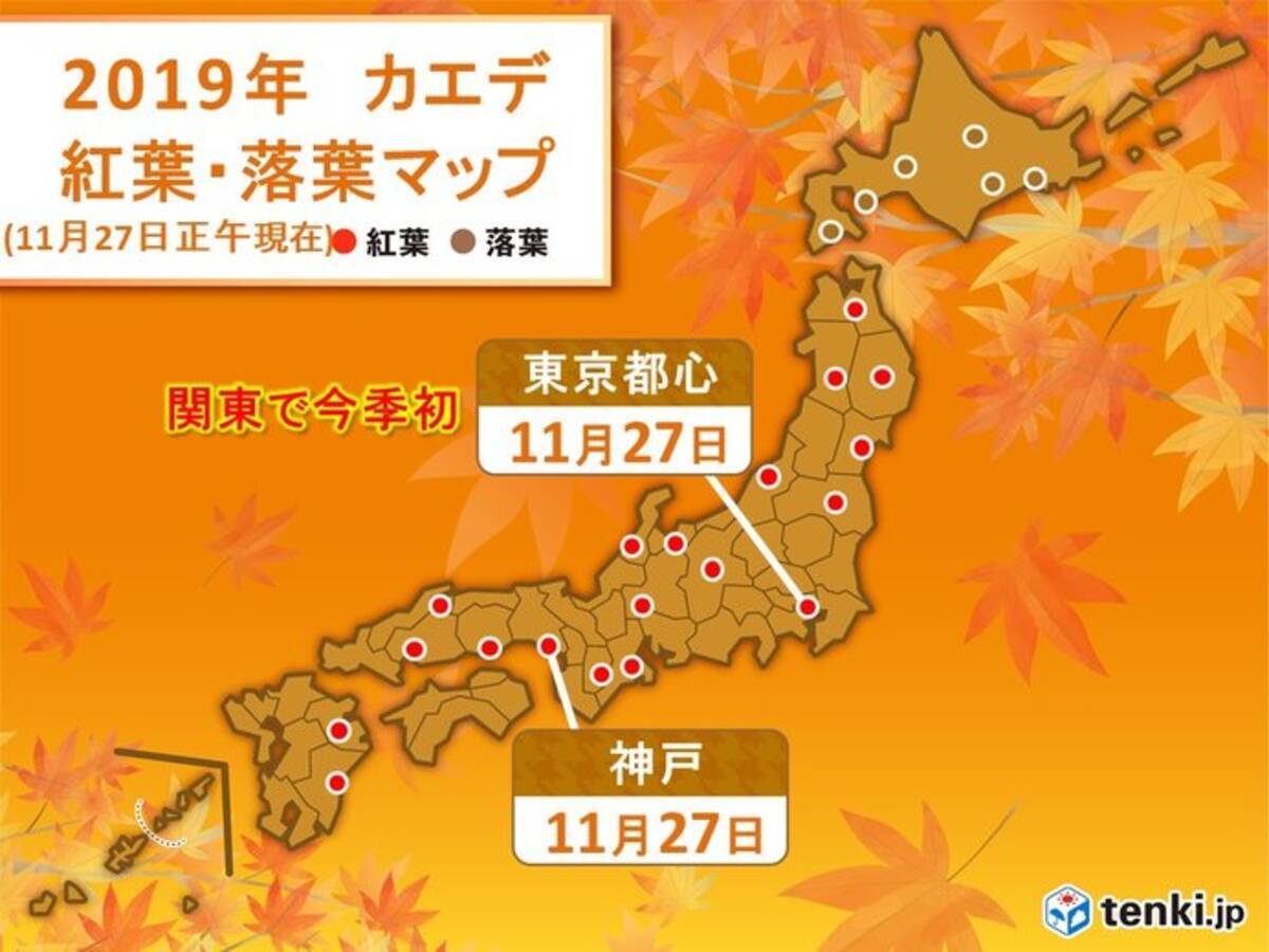 東京都心でカエデが見ごろに 関東で最も早く 19年11月27日 エキサイトニュース