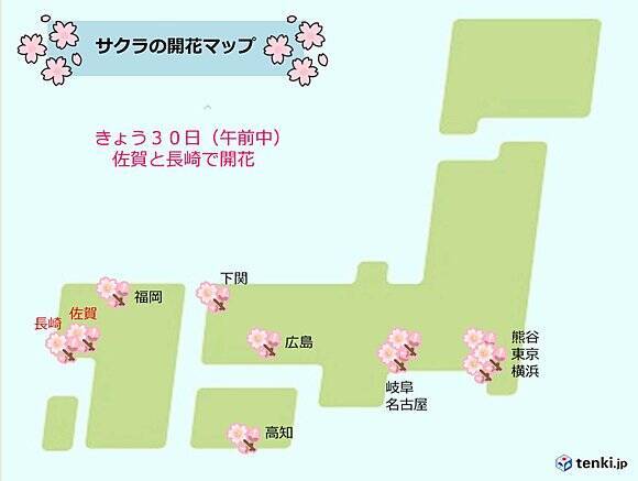 佐賀と長崎で桜開花 全国開花状況 17年3月30日 エキサイトニュース