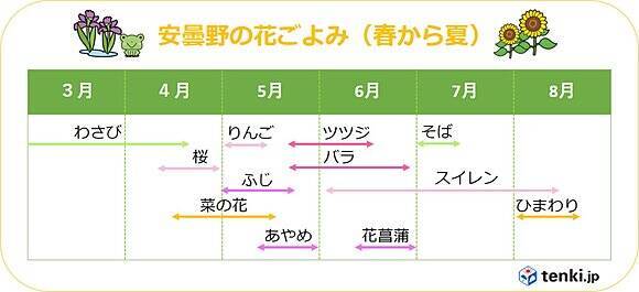 安曇野 まち全体が花畑 甘い香りも 17年5月9日 エキサイトニュース 2 2