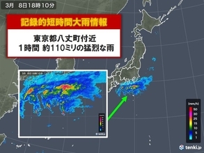 東京都八丈島で約110ミリ 記録的短時間大雨情報
