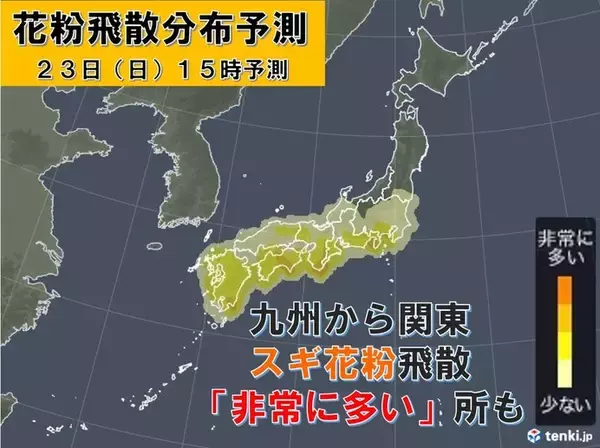 23日　東京など花粉の大量飛散に注意　北は暴風