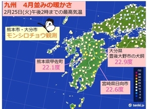 九州　モンシロチョウも飛ぶ暖かさ 20度超え続出