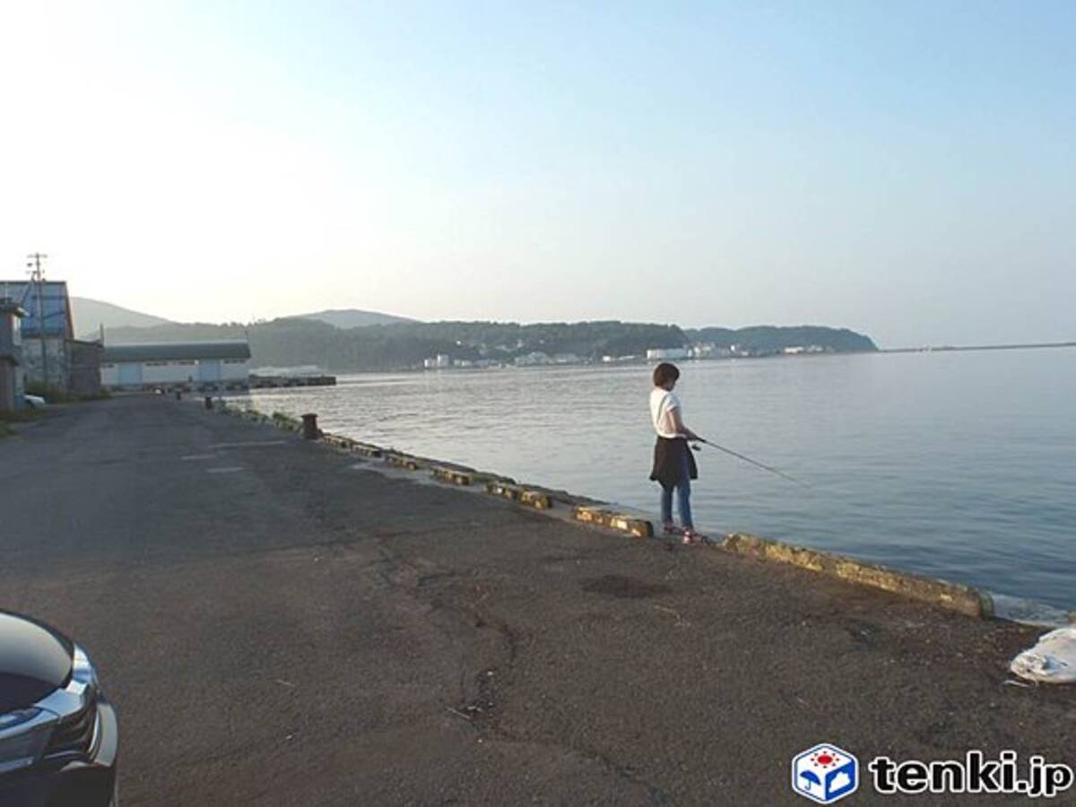北海道 夏の堤防 小物釣り 17年7月24日 エキサイトニュース