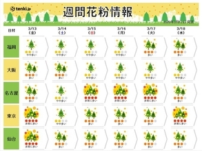 東京の花粉　ヒノキも飛び始めました